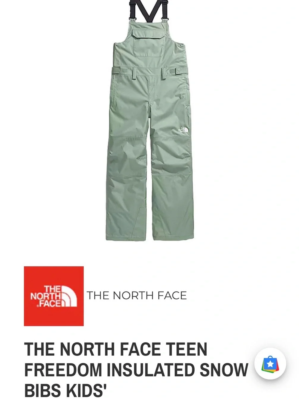 The North Face north face